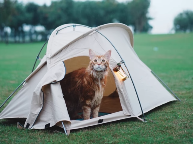 上海大型戶外用品廠家聯系方式 衢州三禾戶外裝備科技供應