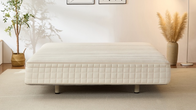 列舉睡眠電動床墊品牌 東莞市金雅圖智能家居科技供應(yīng)