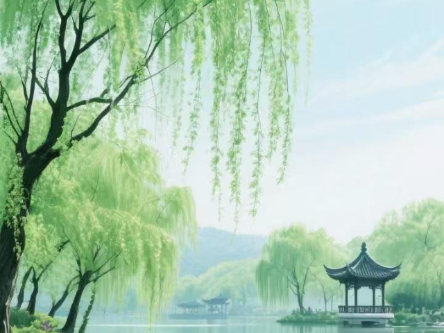 上海比較好的伴讀性價比,伴讀