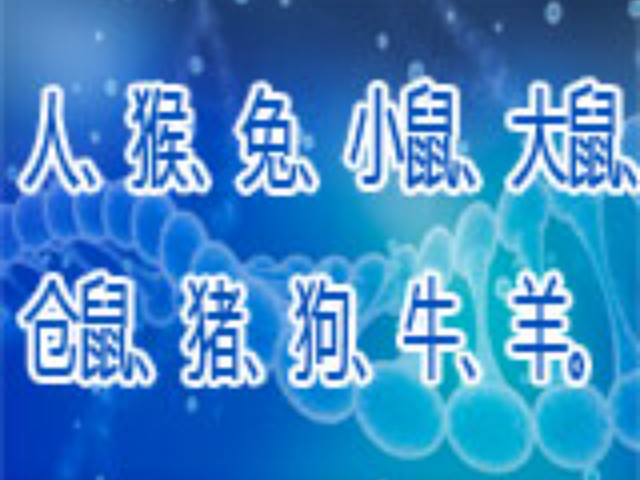 海淀區(qū)細(xì)胞種屬鑒定客服電話