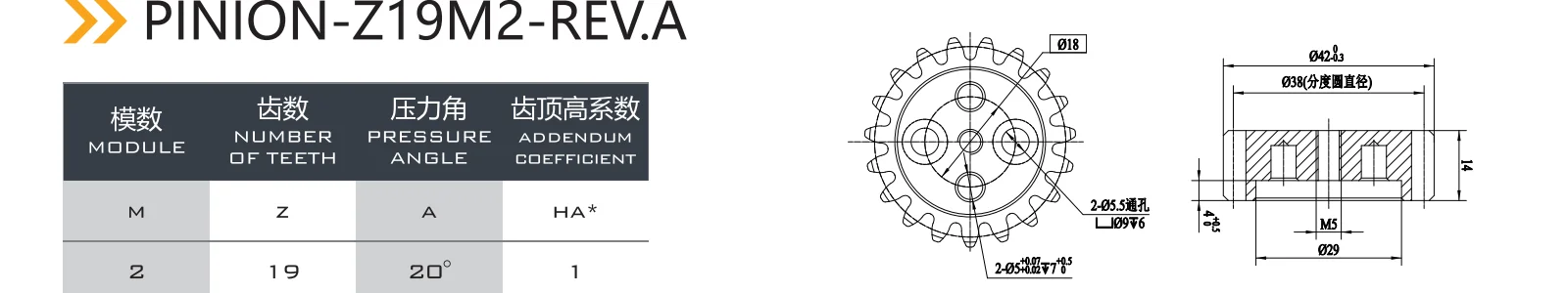 Z19M2-REV.A Pinion