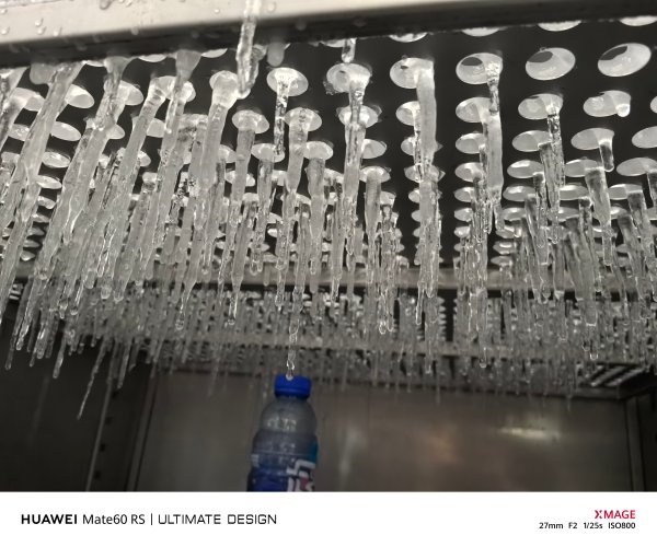 瑕嗗啺璿曢獙綆�