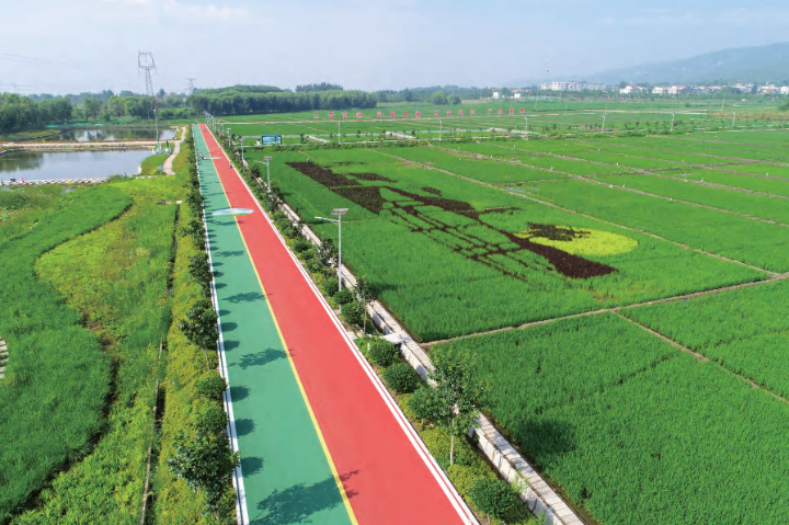 广西靠谱彩色防滑路面批发,彩色防滑路面