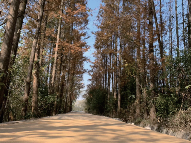 广东耐磨生态素土路面生产厂家