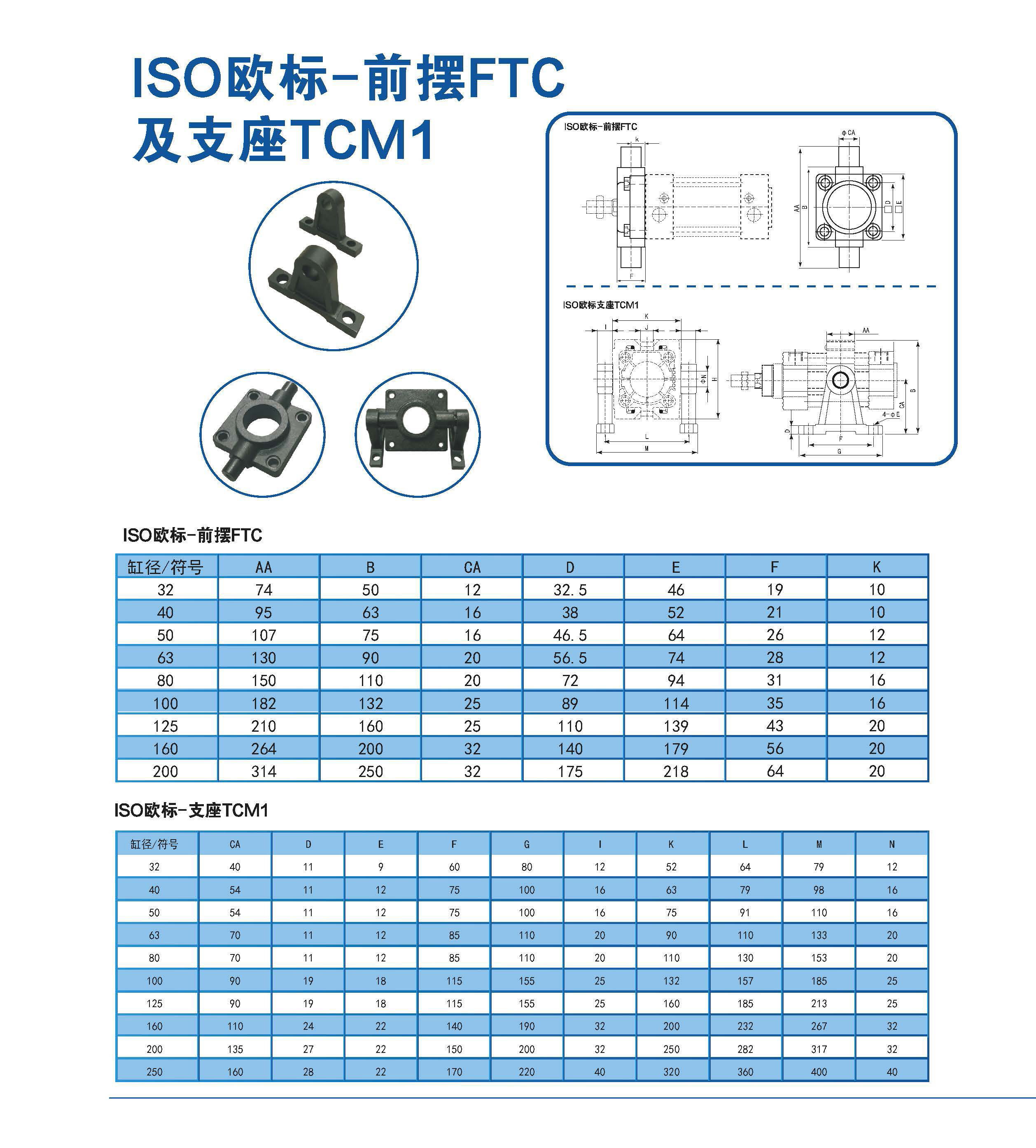 ISO歐標-前擺軸FTC +TCM1,恒立佳創(chuàng)精密工業(yè)設備（上海）有限公司,恒立液壓
