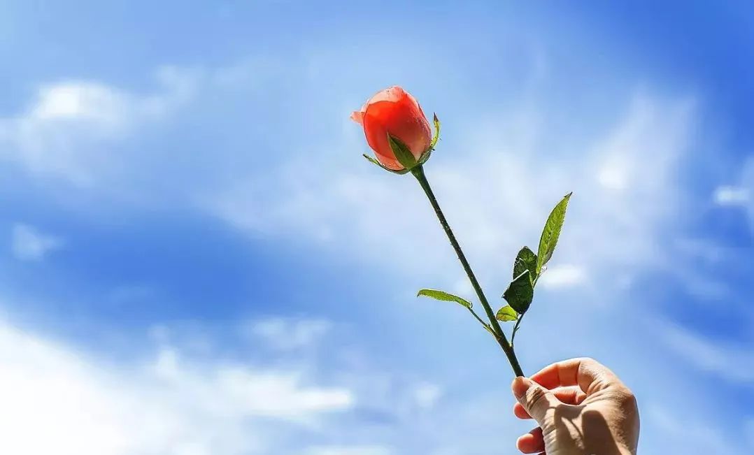 如何才能真正的愛別人？