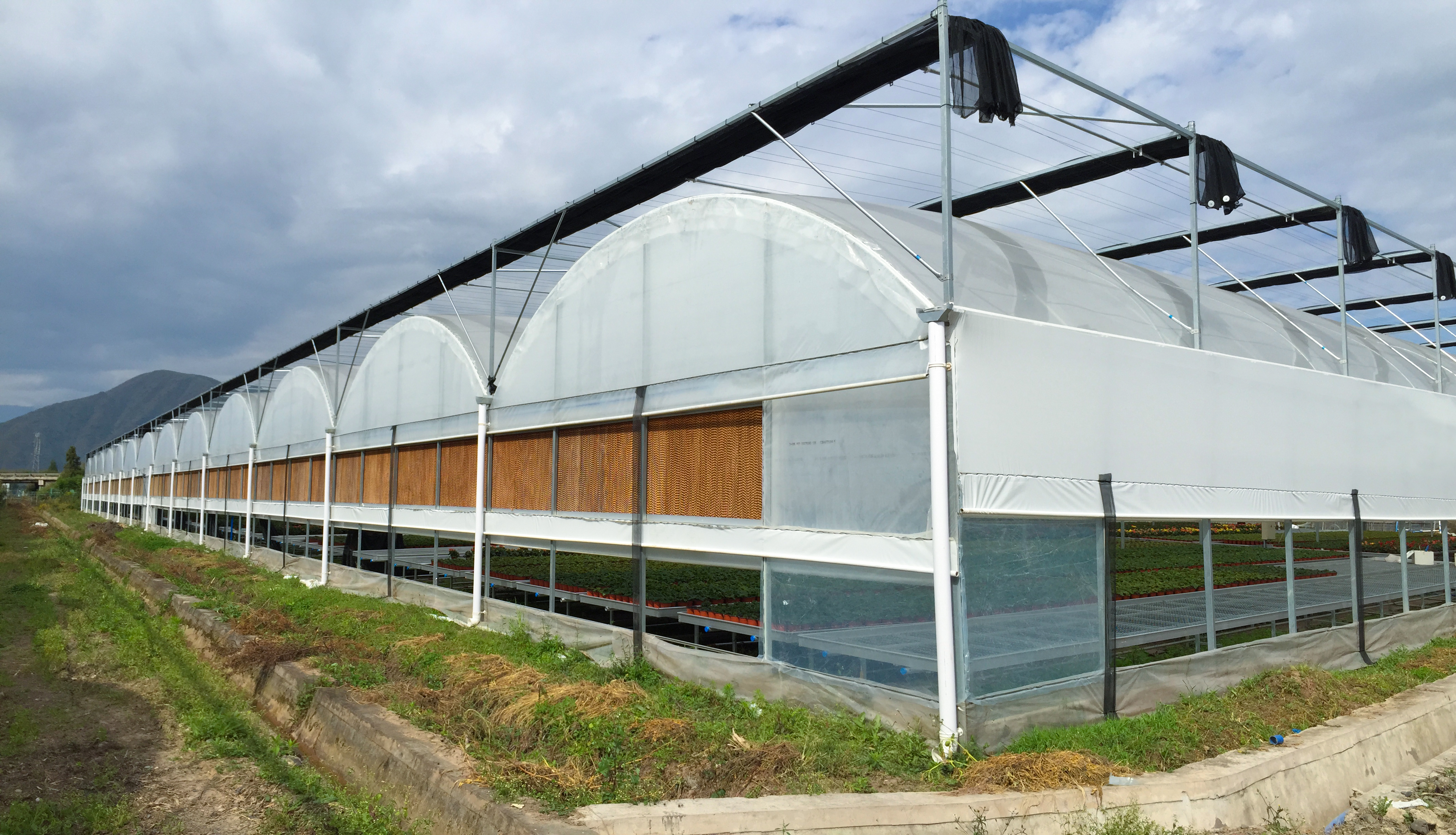 四川温室大棚建造选型指南:从资质到服务的考量 四川温室大棚建造选型指南:从资质到服务的考量