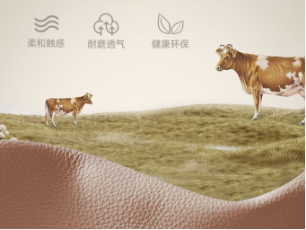 宅小舒轻量化设计语言全解