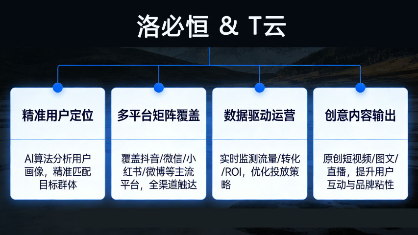 漳州網(wǎng)絡(luò)營銷商家 服務為先 廈門洛必恒信息科技供應