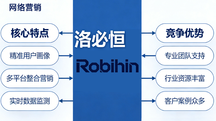 漳州網絡營銷 歡迎來電 廈門洛必恒信息科技供應