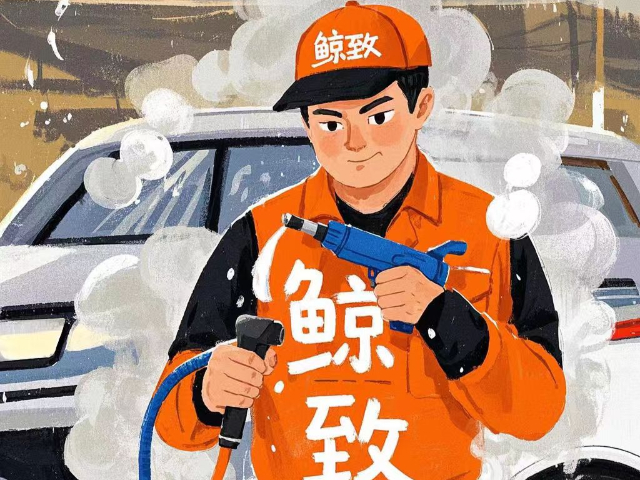 江西價(jià)格上門洗車代理品牌 歡迎咨詢 石家莊鯨致車管家科技供應(yīng)