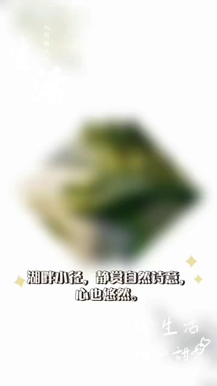 山东多杆发财树花卉办公室风水,花卉