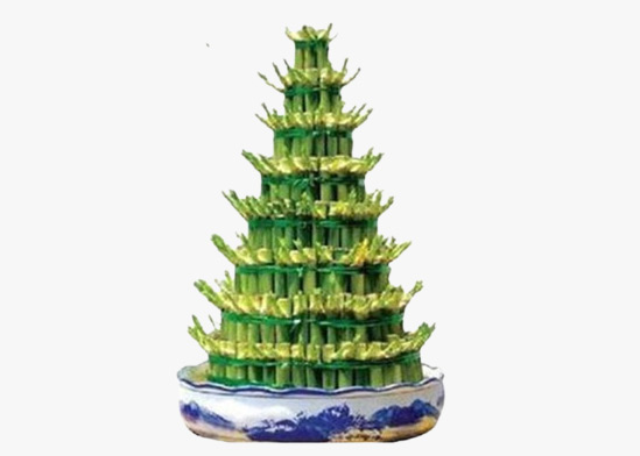 嘉定區(qū)臨時(shí)綠化養(yǎng)護(hù)概算定額 真誠推薦 上海園中園花藝綠化供應(yīng)