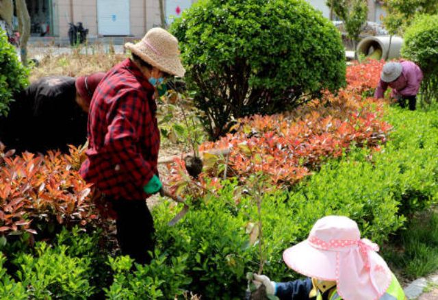 惠山區提供園林綠化服務客服電話