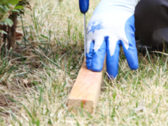 新吳區本地園林綠化服務便捷,園林綠化服務
