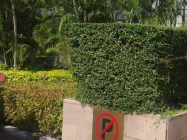 梁溪區推廣園林綠化服務24小時服務