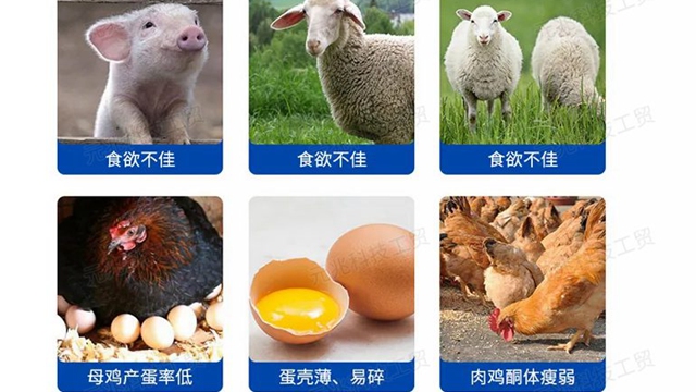 寧波小蘇打供應(yīng)商