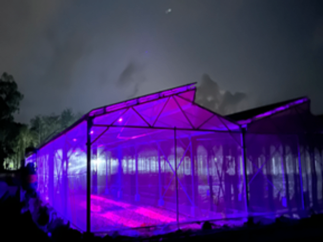 植物工廠激光植物生長調控燈哪家好 浙江長芯光電科技供應