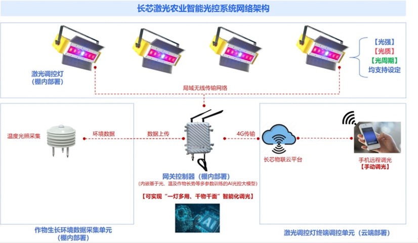 花期調(diào)控激光植物生長調(diào)控?zé)舴桨?浙江長芯光電科技供應(yīng)