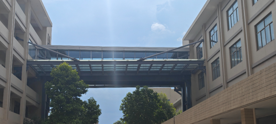 東莞廠房鋼結構連廊哪家好 深圳市鑫中鵬鋼結構供應