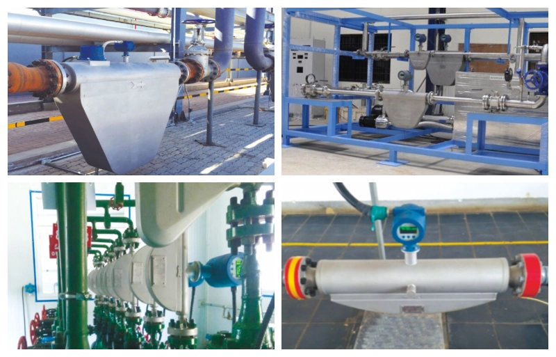 Coriolis mass flowmeters