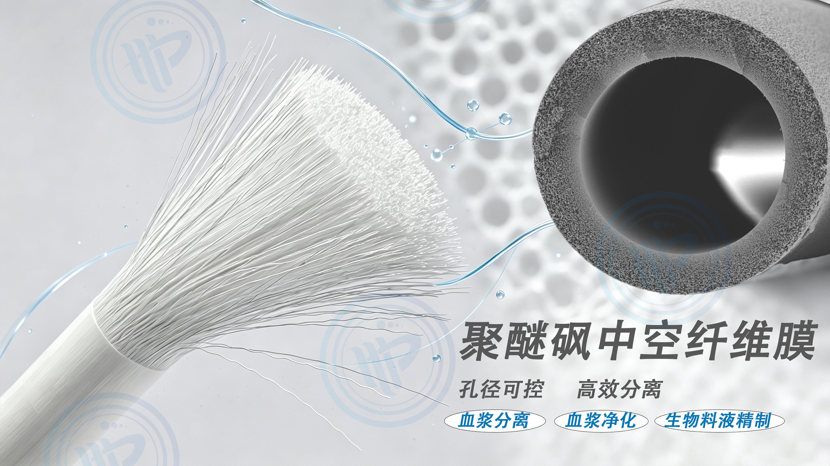 聚醚砜中空纤维膜、PES 中空纤维膜、国产分离膜、血浆分离、血液净化、高通量透析膜、生物料液精制、中空纤维膜、生物医药膜材料、膜组件定制、国产替代、精密纺丝工艺