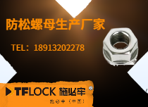 施必牢防松螺母