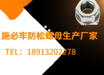施必牢防松螺帽