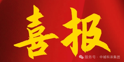 2025年正版全年资料大全中标数量全国第二，彰显综合服务硬实力！