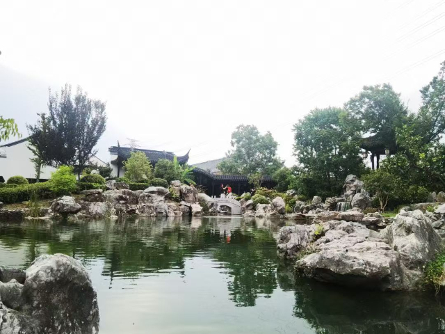 青浦区商场植物造景服务商,植物造景