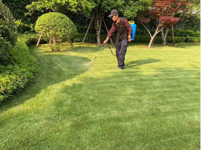 江蘇綠化養(yǎng)護(hù)價(jià)格 上海六畝地景觀綠化工程供應(yīng)