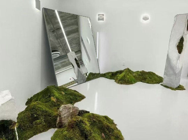 普陀區(qū)花園植物造景價格 上海六畝地景觀綠化工程供應