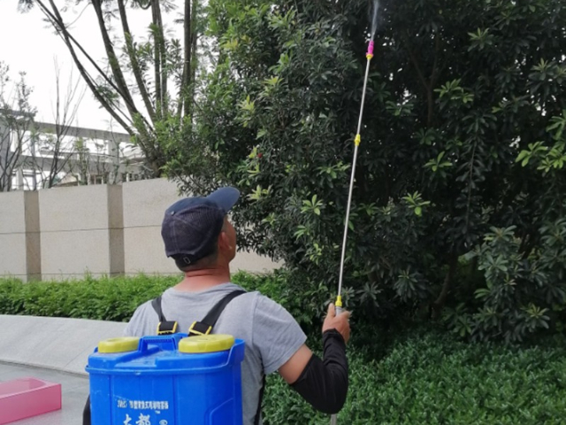 普陀區(qū)別墅綠化養(yǎng)護(hù)價(jià)格 上海六畝地景觀(guān)綠化工程供應(yīng)