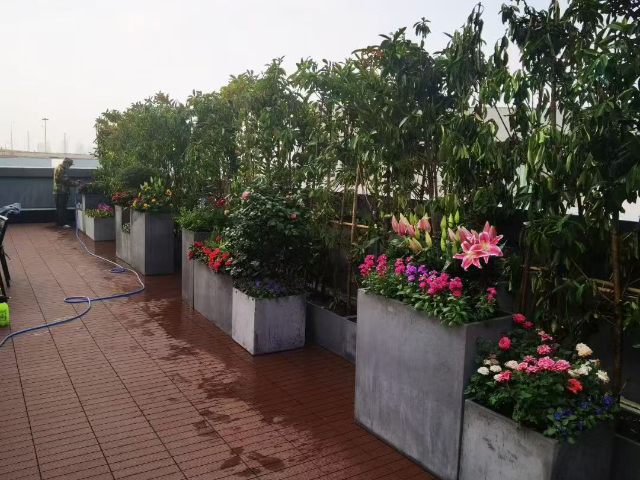 青浦區客廳植物造景團隊 上海六畝地景觀綠化工程供應