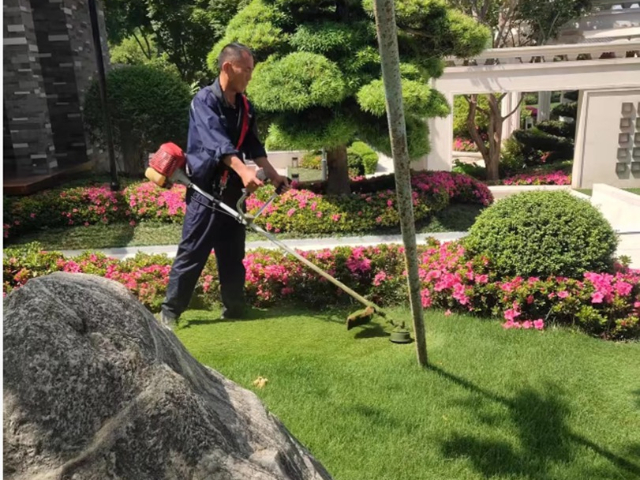 上海花園綠化養(yǎng)護(hù)團(tuán)隊(duì) 上海六畝地景觀綠化工程供應(yīng)