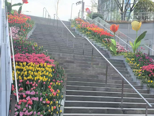 江苏室内户外花镜更换,户外花镜