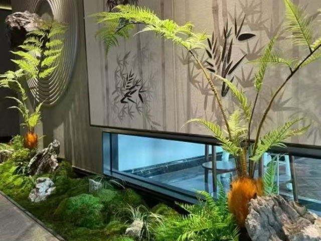 青浦区商场植物造景分析,植物造景