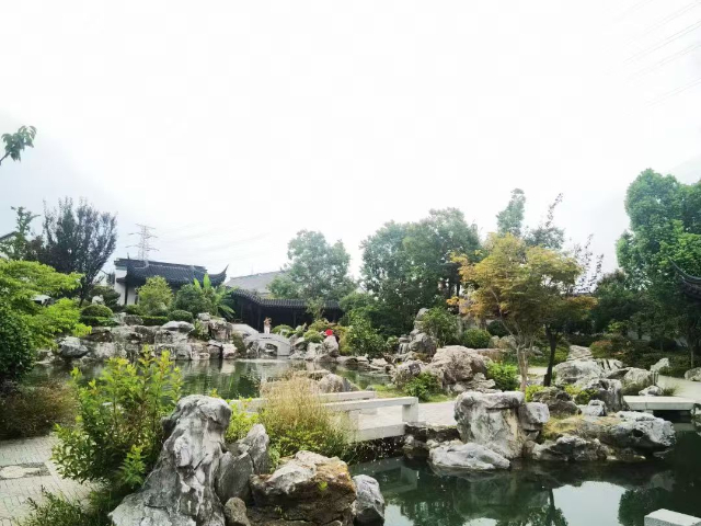 徐匯區(qū)商場(chǎng)植物造景定制 上海六畝地景觀綠化工程供應(yīng)