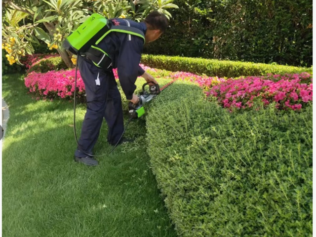 宝山区室内绿化养护哪家好,绿化养护