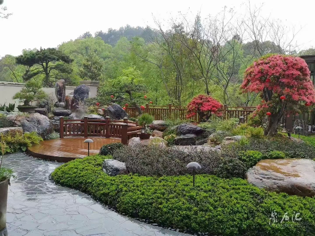 青浦区商场植物造景分析,植物造景