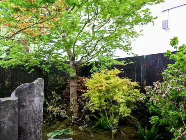 江苏庭院庭院设计配置,庭院设计