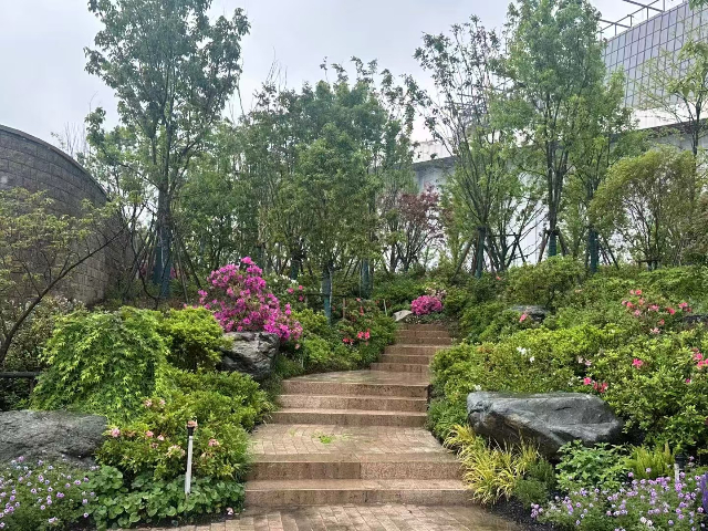 浙江公园户外花镜哪家好