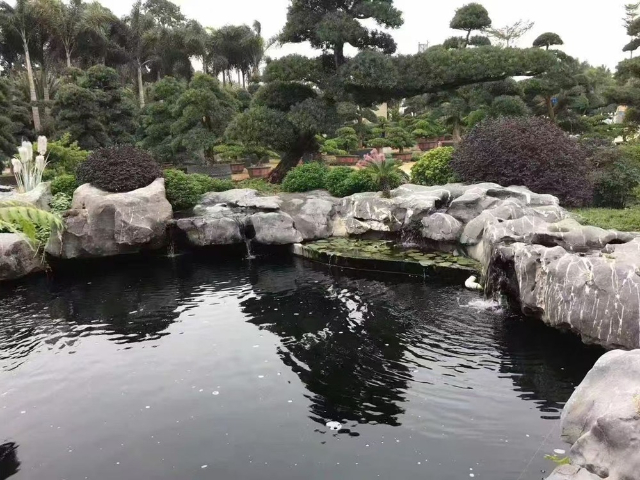 江浙沪植物墙庭院设计一站式服务,庭院设计