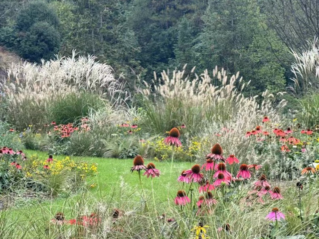 上?？萍紙@戶外花鏡花卉選擇 上海六畝地景觀綠化工程供應(yīng)