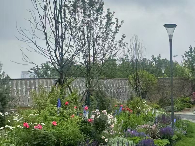 江苏商圈户外花镜如何搭配,户外花镜