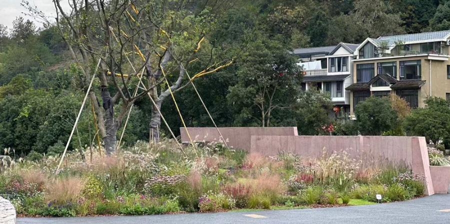 江蘇臺(tái)階戶外花鏡品種選擇 上海六畝地景觀綠化工程供應(yīng);