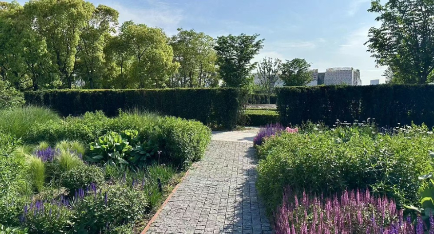 江浙沪道路户外花镜哪家好