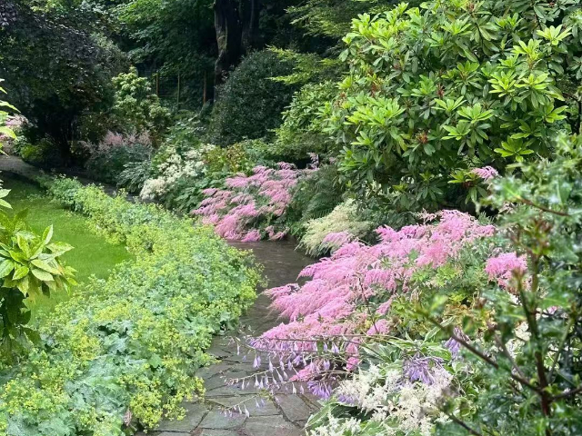 上海戶外戶外花鏡花鏡三劍客 上海六畝地景觀綠化工程供應