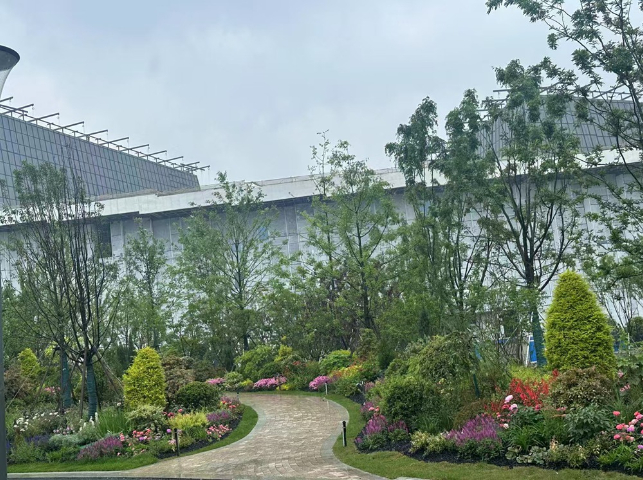 上海及周边公园户外花镜如何搭配,户外花镜