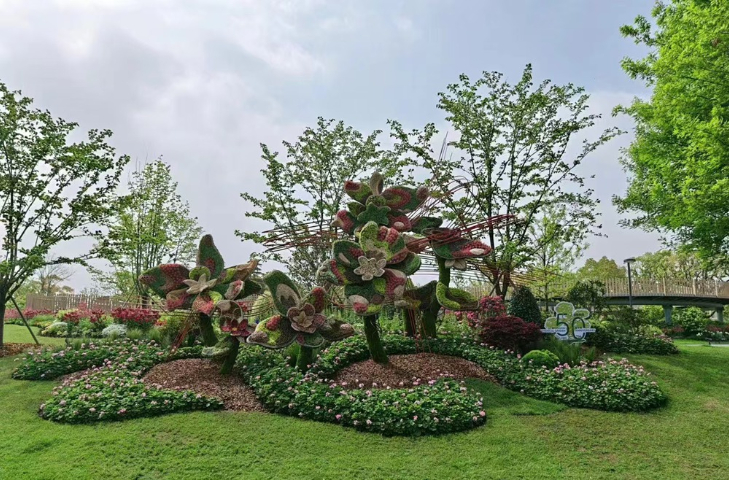 江苏景观户外花镜花卉选择,户外花镜